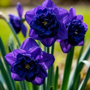 Нарцисс Арт Нуво купить по цене от 378р. в интернет-магазине «Посадика» с доставкой почтой в в Краснодаре и по всей России – [изображение №1].