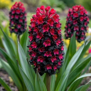 Гиацинт Джем Стоун купить по цене от 2099р. в интернет-магазине «Посадика» с доставкой почтой в в Краснодаре и по всей России – [изображение №1].