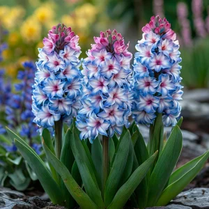 Гиацинт Пинк Мари купить по цене от 2099р. в интернет-магазине «Посадика» с доставкой почтой в в Краснодаре и по всей России – [изображение №1].