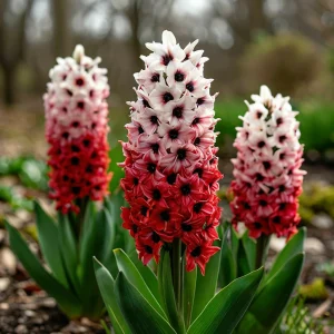 Гиацинт Скай Гарден купить по цене от 2099р. в интернет-магазине «Посадика» с доставкой почтой в в Краснодаре и по всей России – [изображение №1].